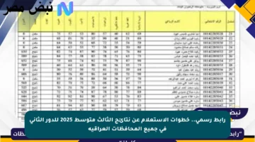 رابط رسمي.. خطوات الاستعلام عن نتائج الثالث متوسط 2025 للدور الثاني في جميع المحافظات العراقية